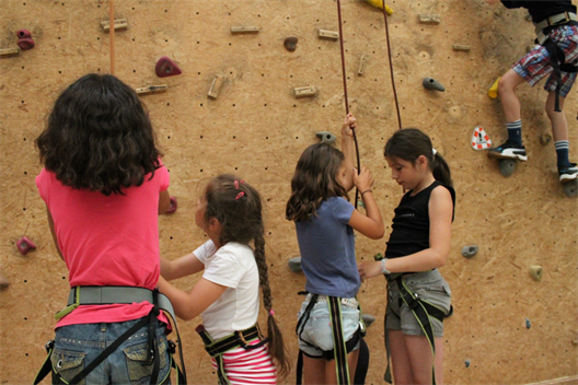 Dieses Bild zeigt eine Gruppe von Kindern an einer Kletterwand in einer Kletterhalle.